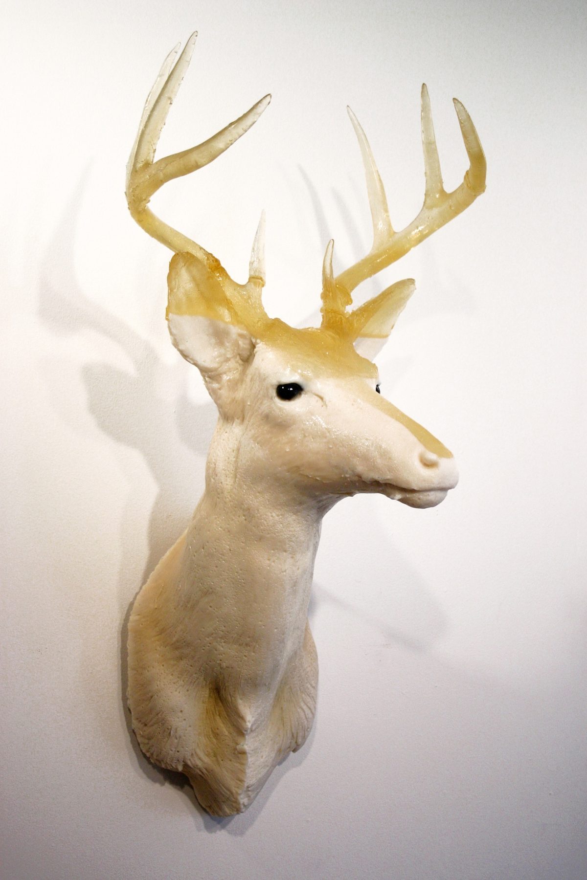 DIR, 2008–2010 — wall-mounted cast-candy deer head, cream cast with translucent amber antlers, from a series produced across 2008–2010, by Hannes Bend
