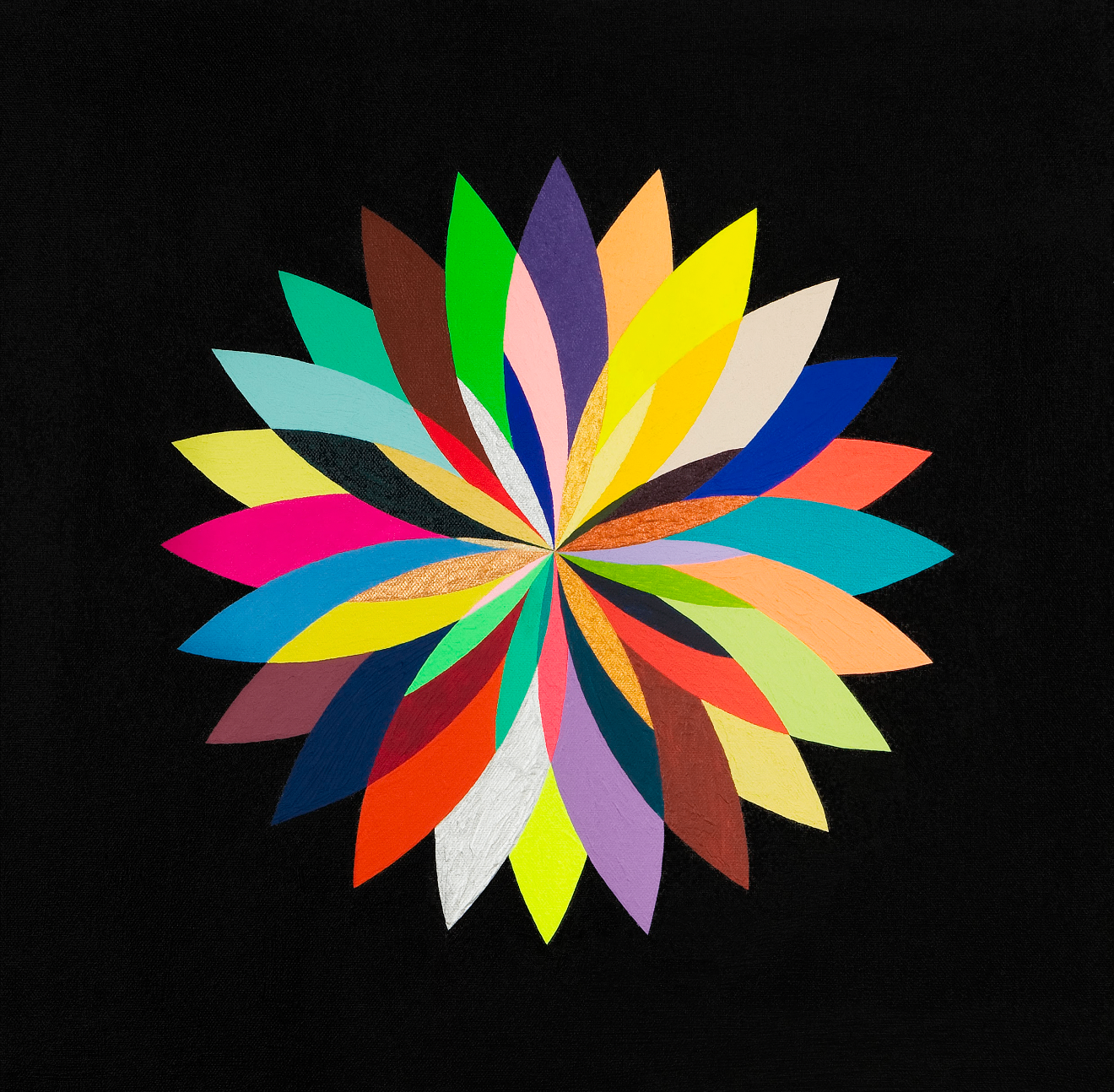 little starstruck, 2009 — acrylic multicolor petal star on black ground by Hannes Bend