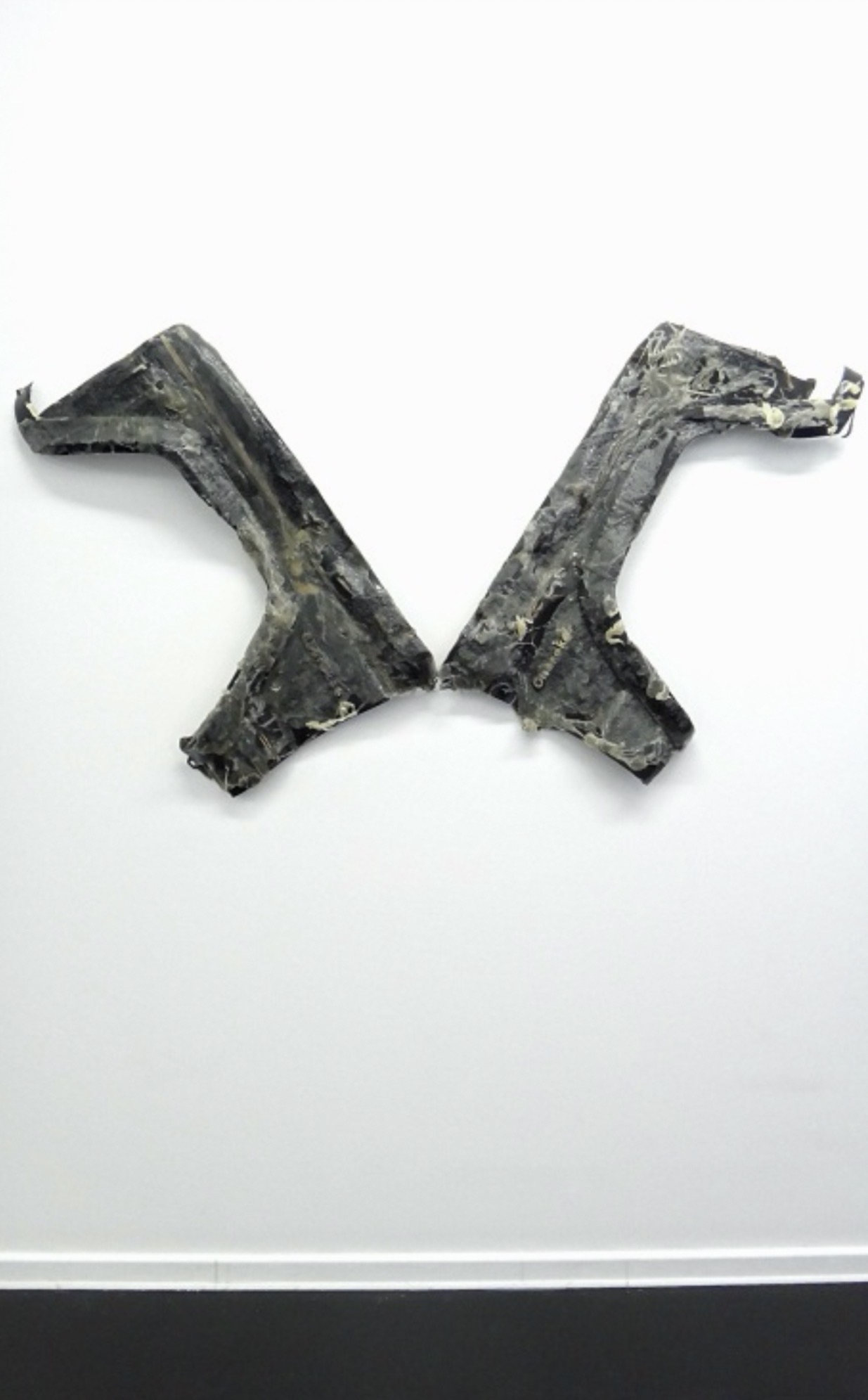 Wings (Crystallized), 2011 — the same paired automotive-door work after its transparent to semi-transparent golden candy coating crystallized over time, by Hannes Bend, shown at Alexander Levy Gallery, Berlin, 2012.