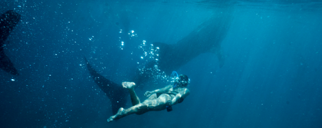 A free diver descending in deep blue water surrounded by rising bubbles.