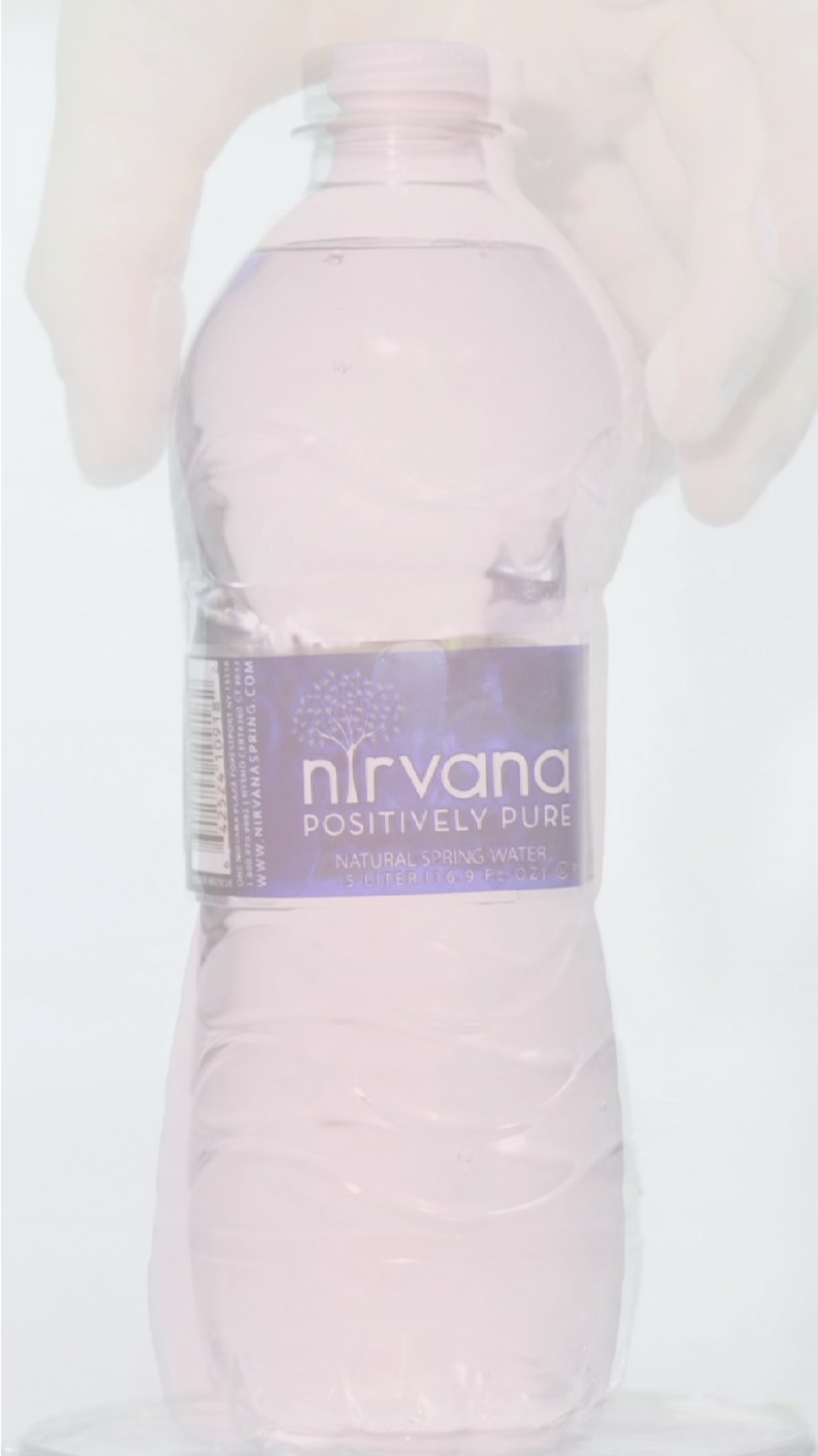 nirvana, 2013 — candy cast of a plastic bottle inside a Nirvana Spring Water bottle