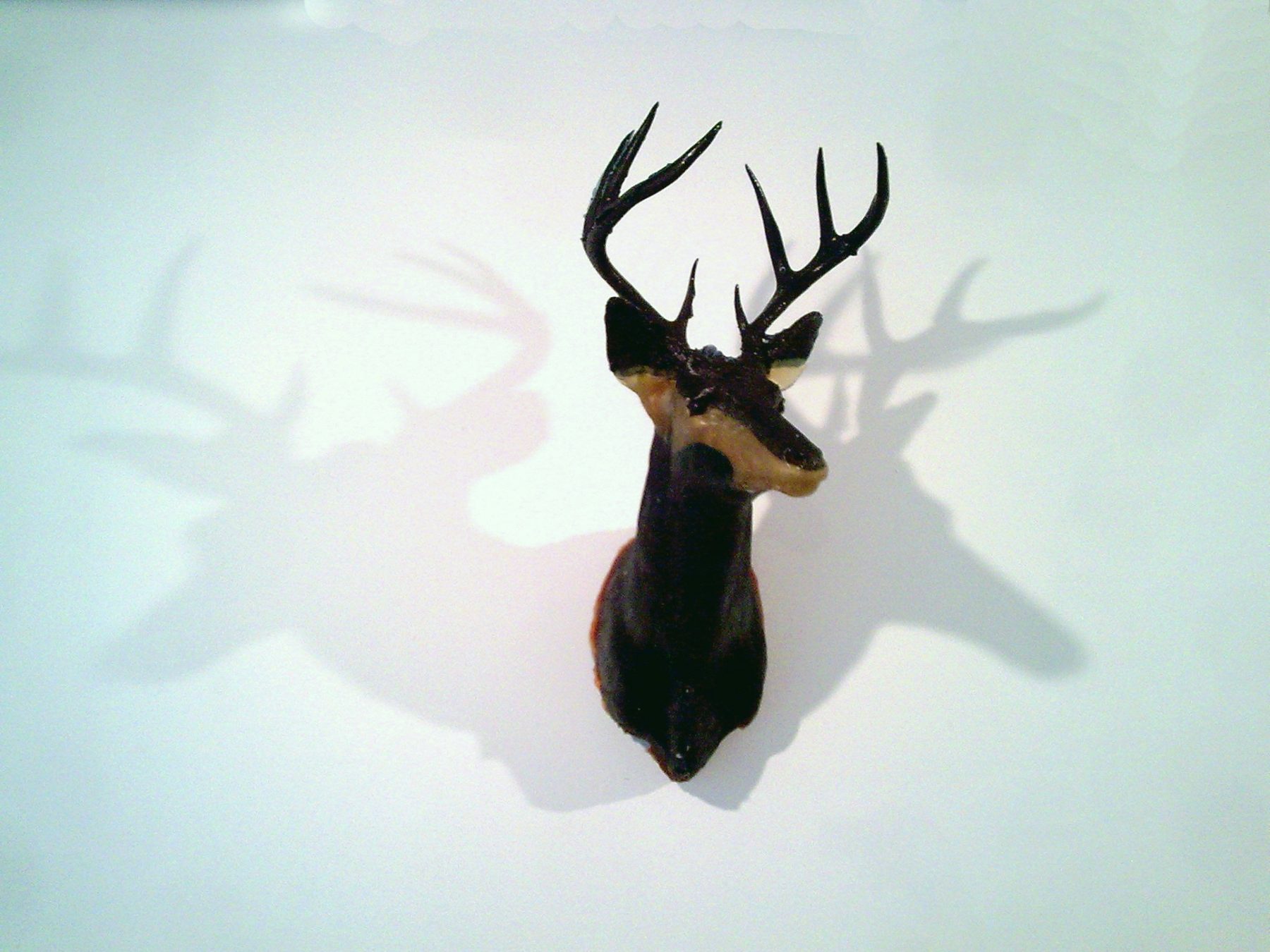 Deer New York, 2009 — wall-mounted cast-candy deer trophy in dark near-black cast, casting a soft shadow-sm on a white gallery wall, New York, by Hannes Bend