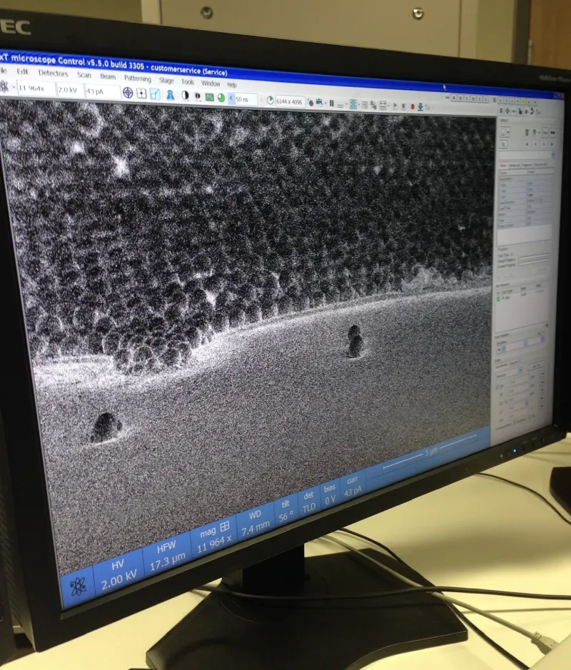 Microscopy equipment and a computer monitor displaying a magnified specimen at the University of Oregon.